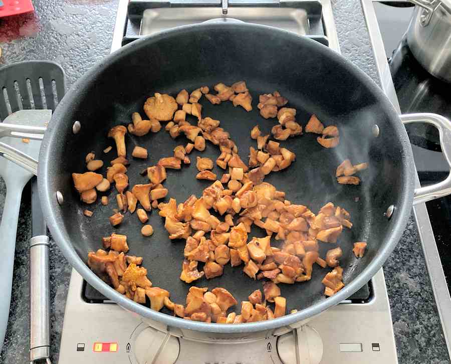 Turkey Steaks With Chanterelle Sauce Recipe Cuisine Fiend